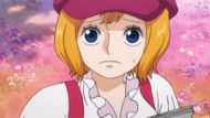 Koala as seen in One Piece (Image via Toei)